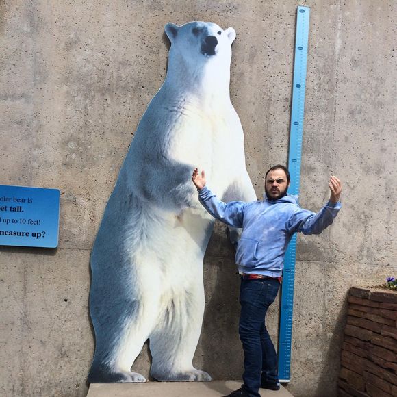 Meet your Posher, Beau - Picture 1 of 1